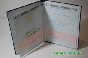 Купить диплом ИЭФ — Института экономики и финансов Синергия в Липецке